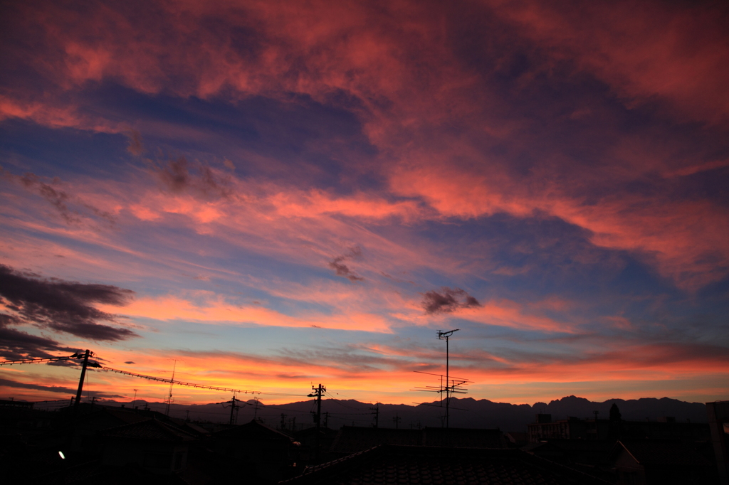 燃ゆる朝