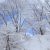 雪化粧