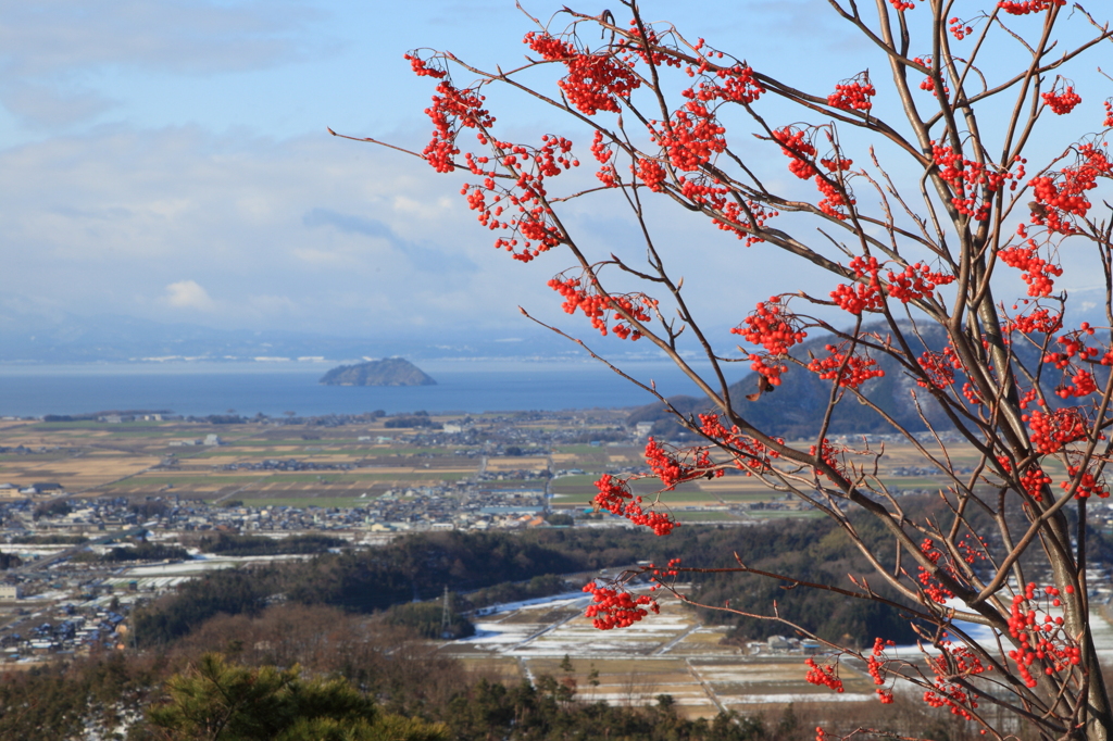 １月の小谷城跡より