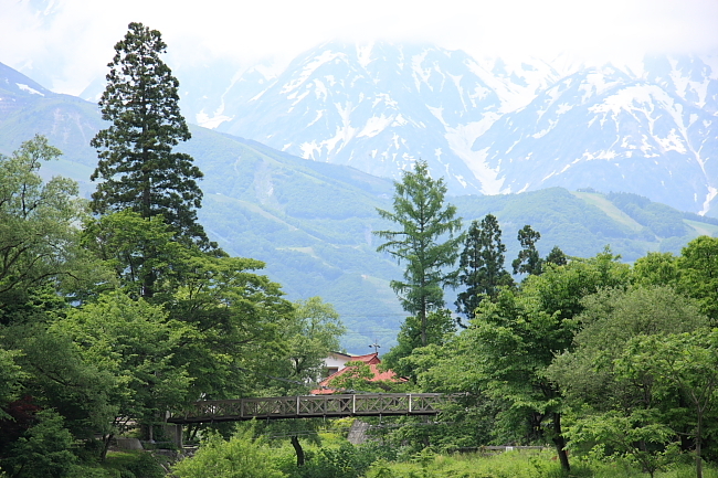 白馬　大出の吊り橋