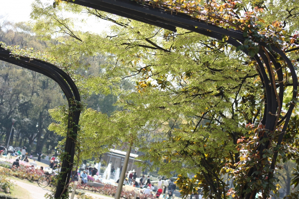 公園