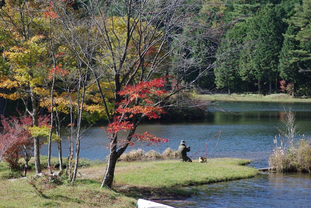 段戸湖の紅葉