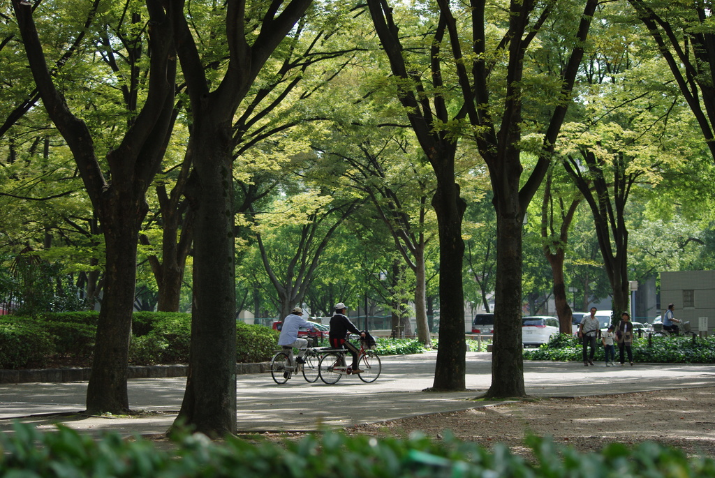 公園