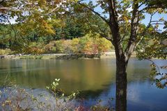 段戸湖の紅葉
