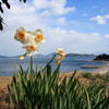 冬の終わり