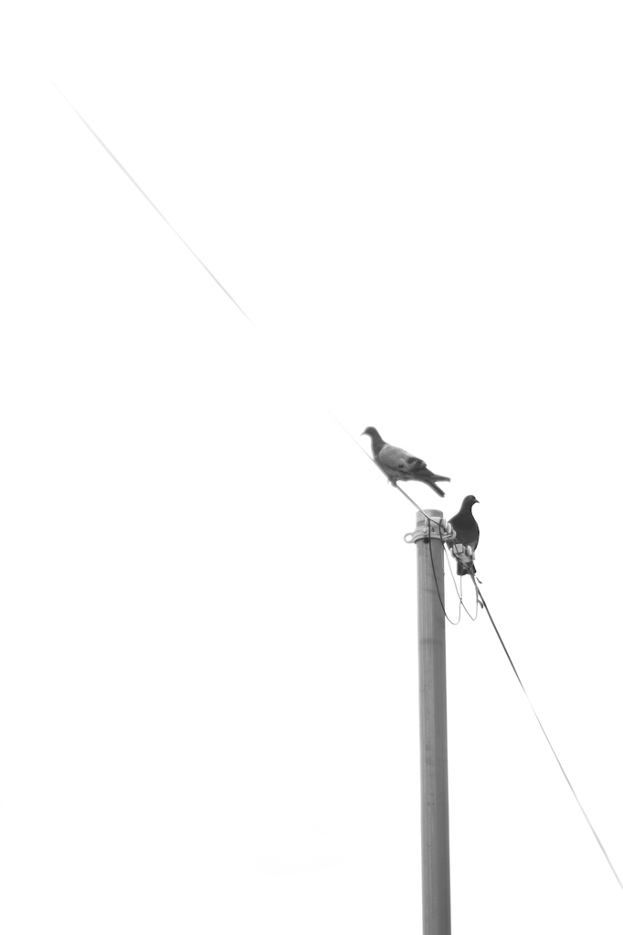明