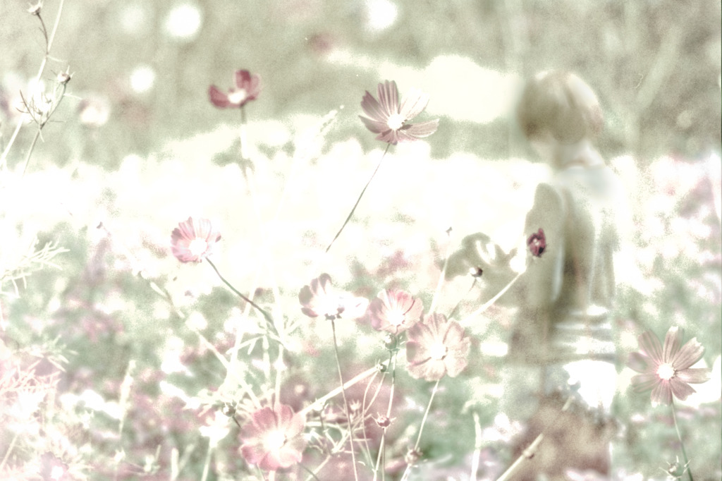 Autumn dream