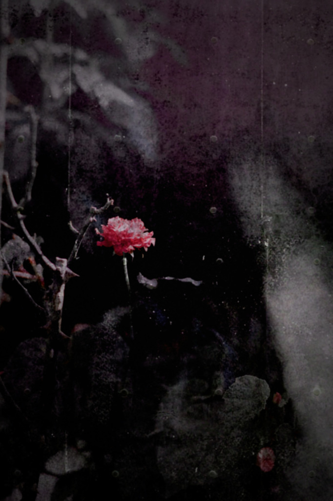A Silent Red