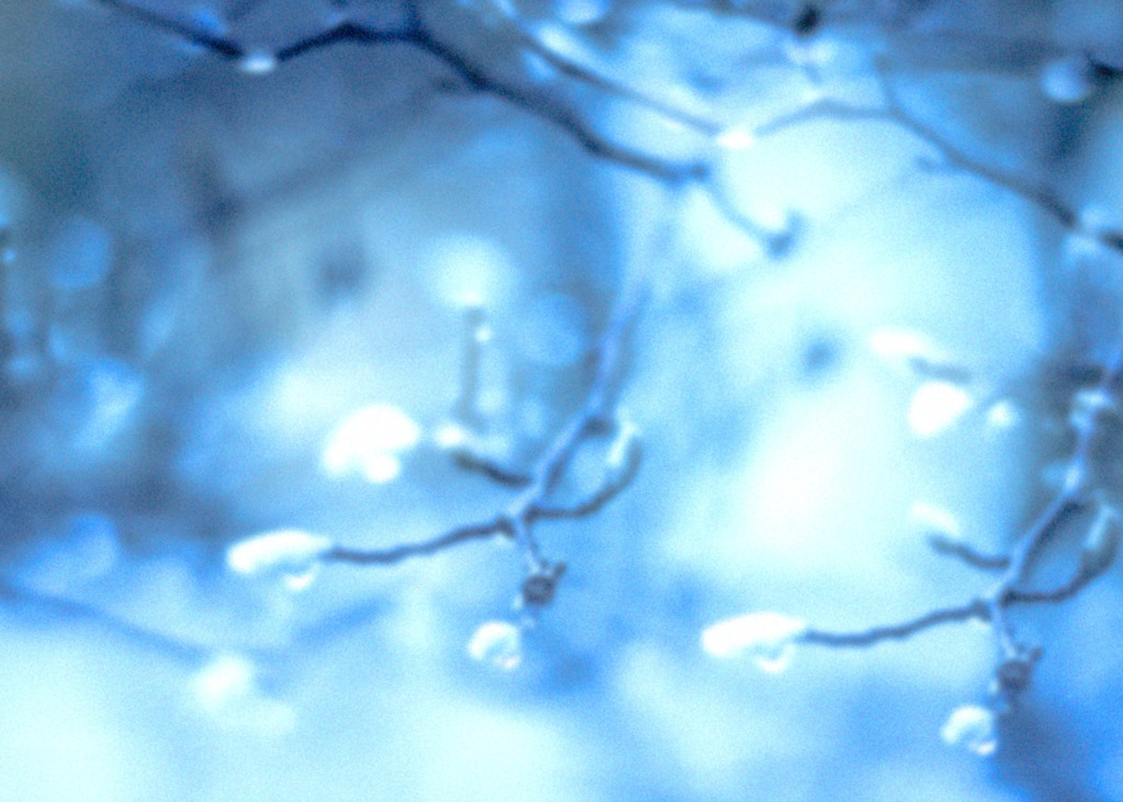 ･