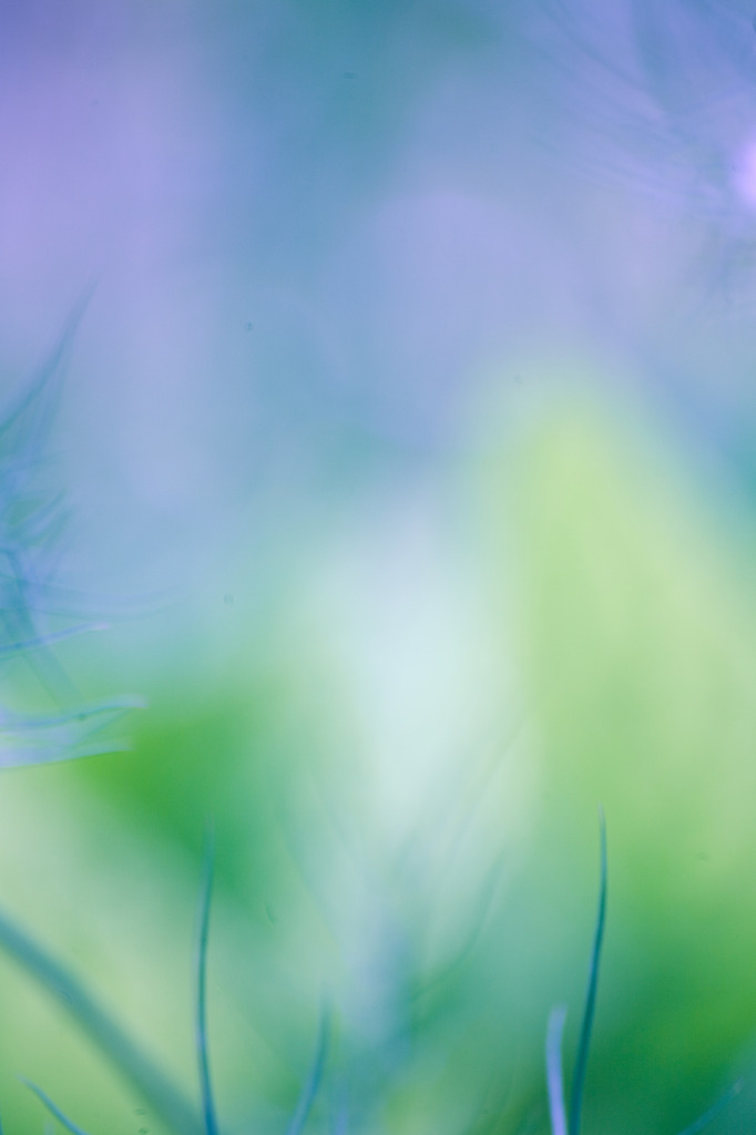 Pastel