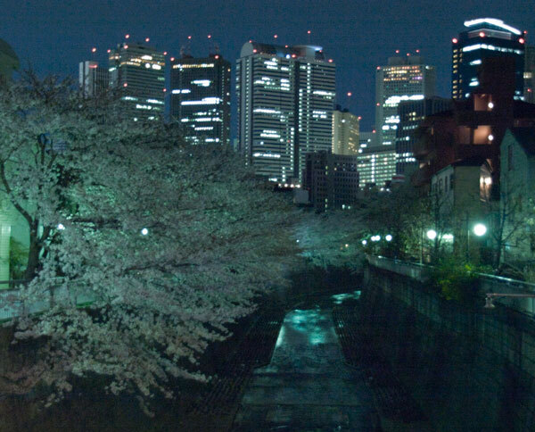 新宿の街