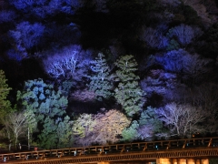京都嵐山渡月橋