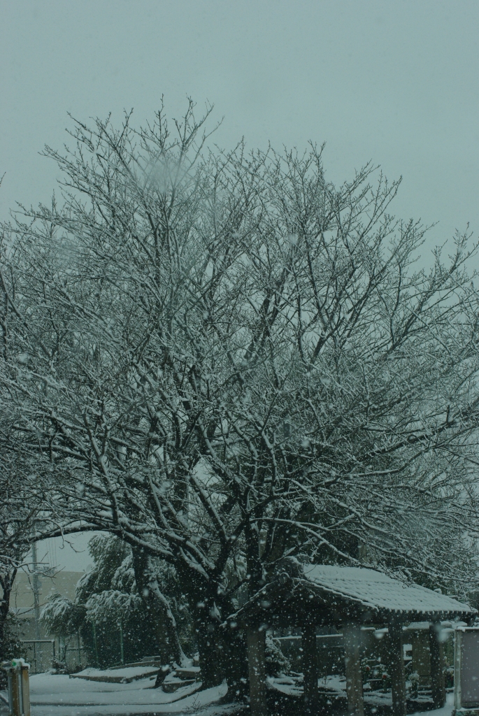 大雪と墓地