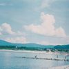 夏の海