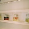お酢屋さん