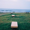 海岸にて。