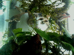 うまそ～♪20080610