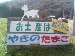 気になる看板　20080927