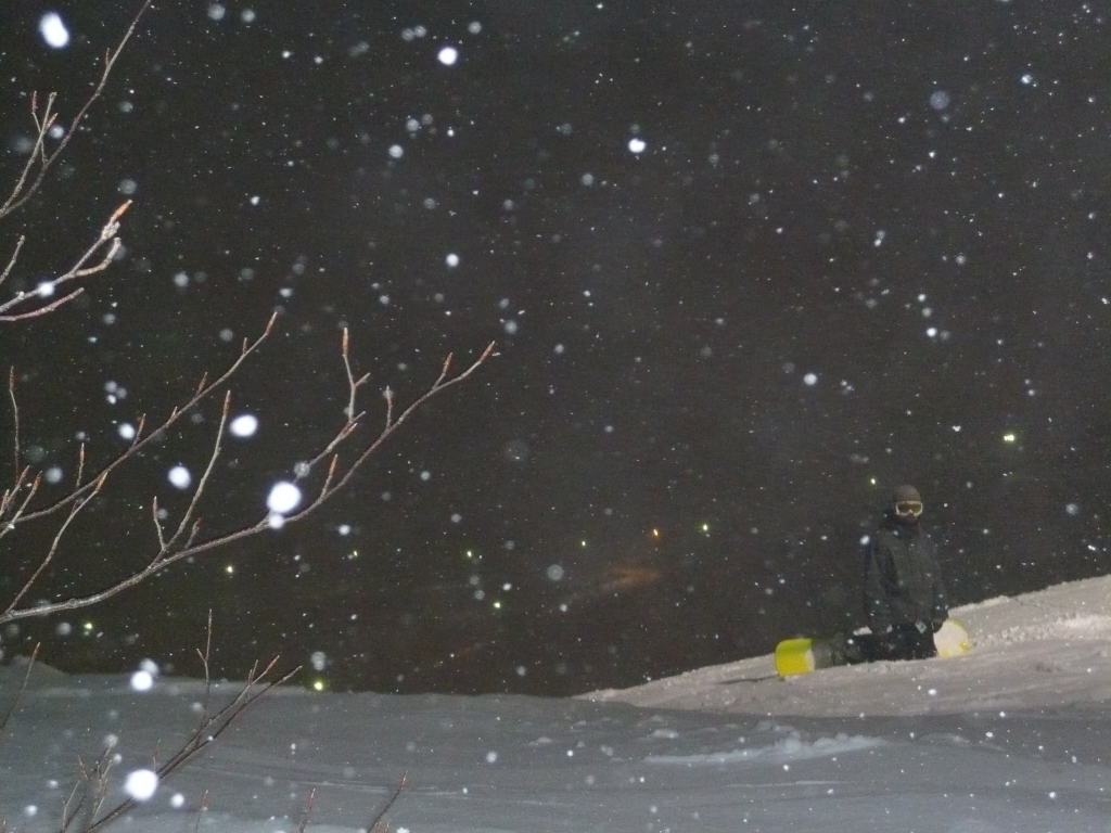 夜行雪中