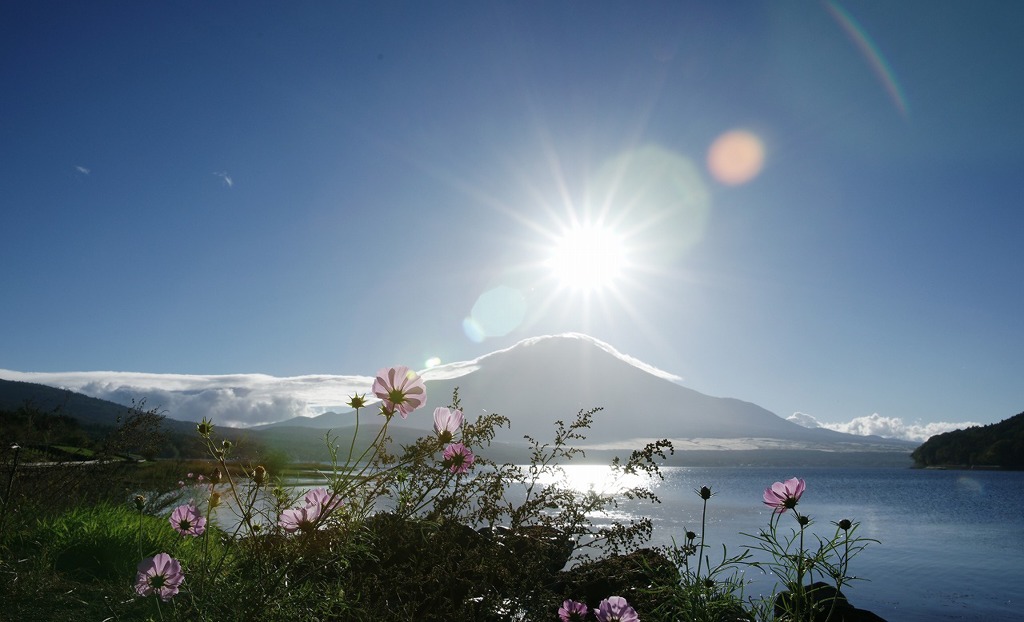 名残の夏
