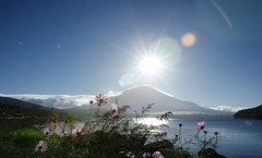 名残の夏