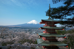 2015.04朝倉神社-2