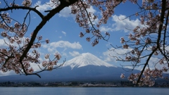 河口湖長崎公園にて