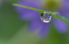 なみだ雨