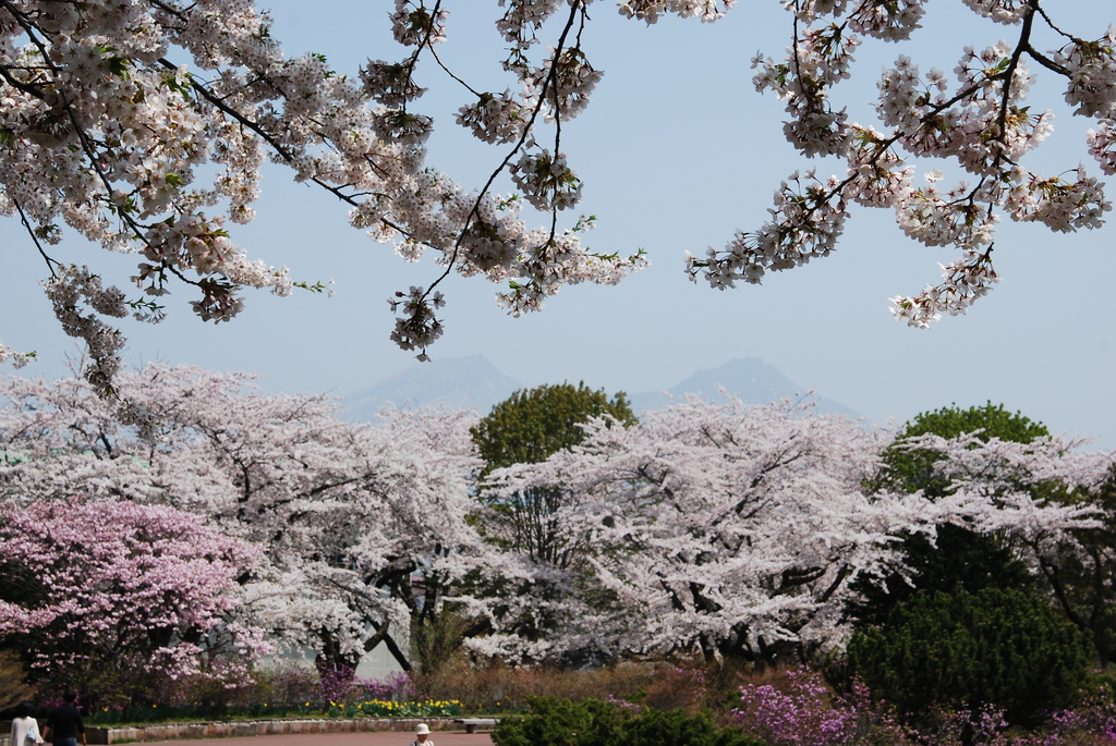 森町オニウシ公園（２）