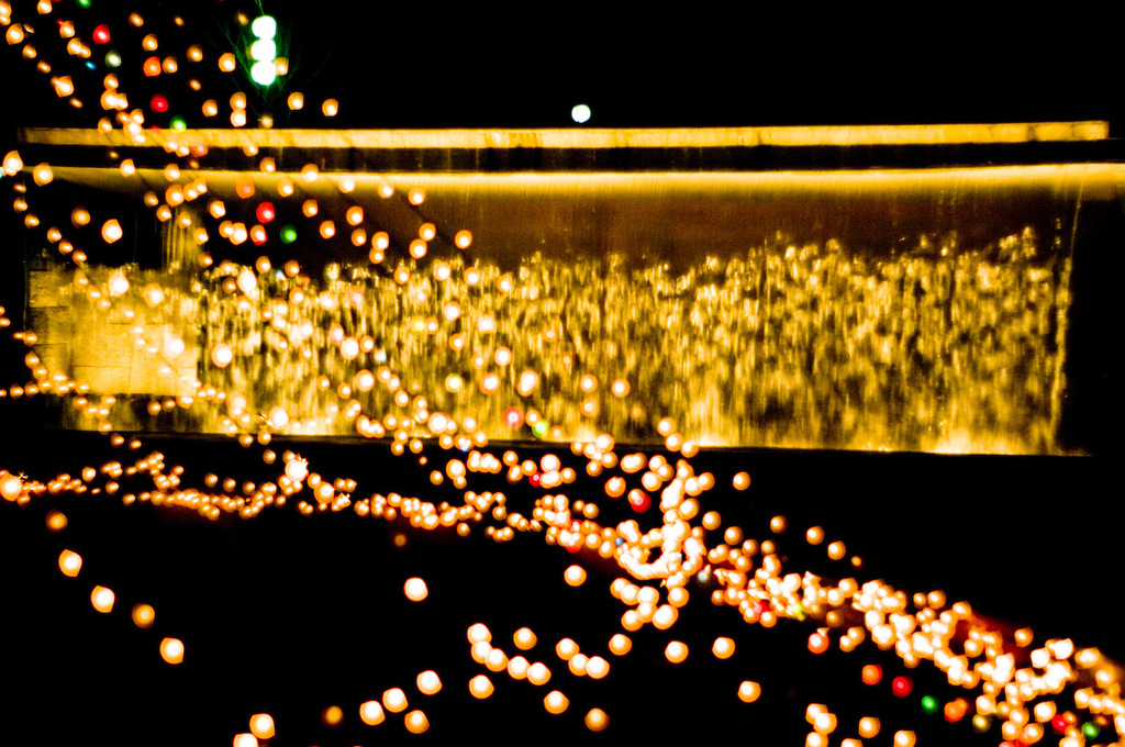 20081201-IMGP6378