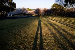 self shadow