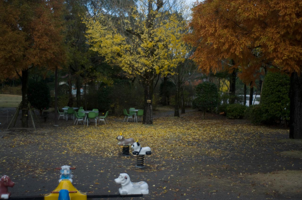 20081128-IMGP6197