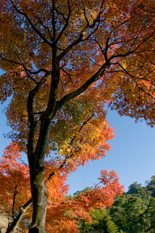 20081202-IMGP6388