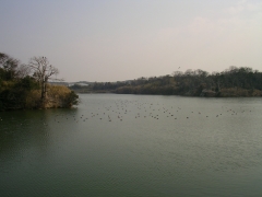 鵜の池