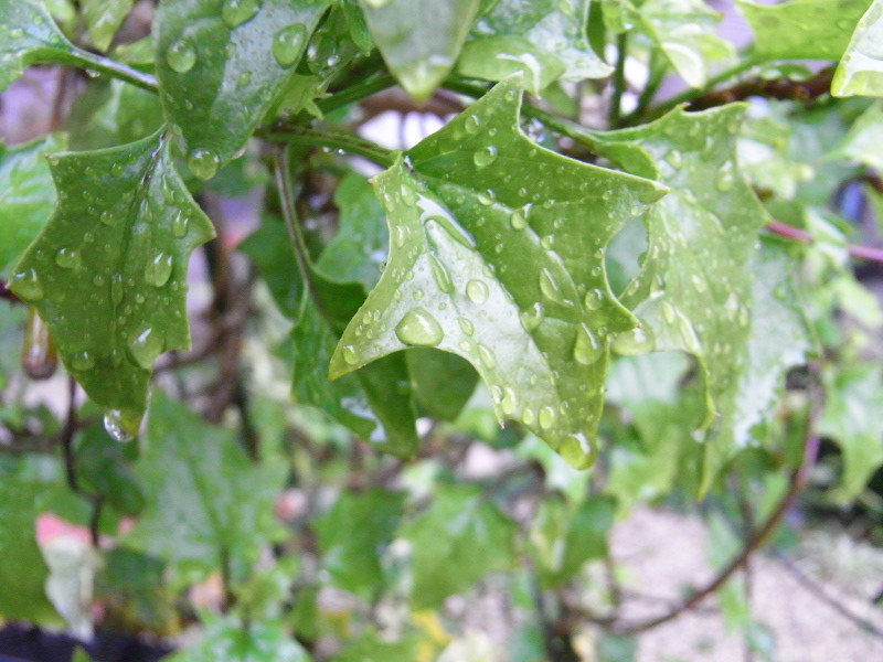 20090412_12