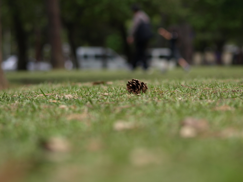 20090504_02