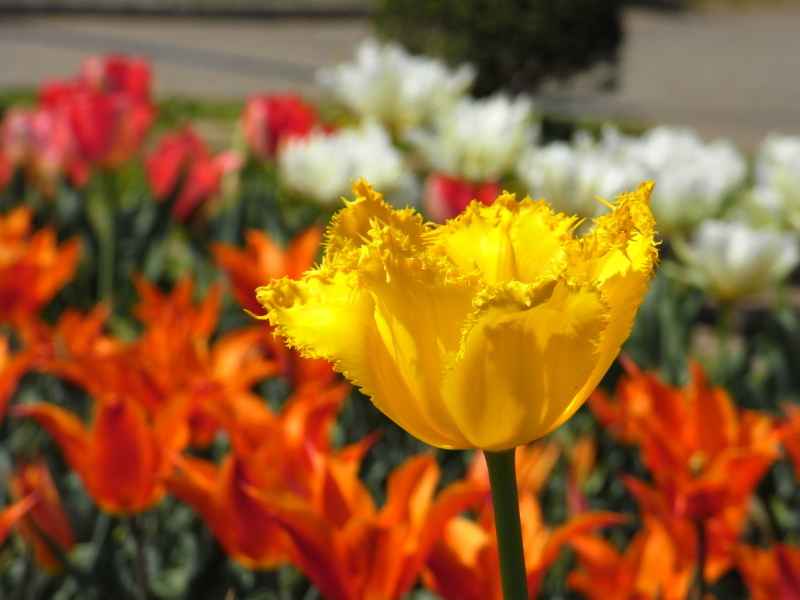 20090412_05