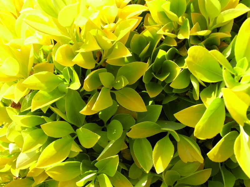 20090412_04