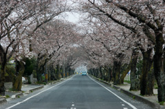 400m道路