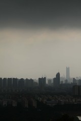 IMG_0417