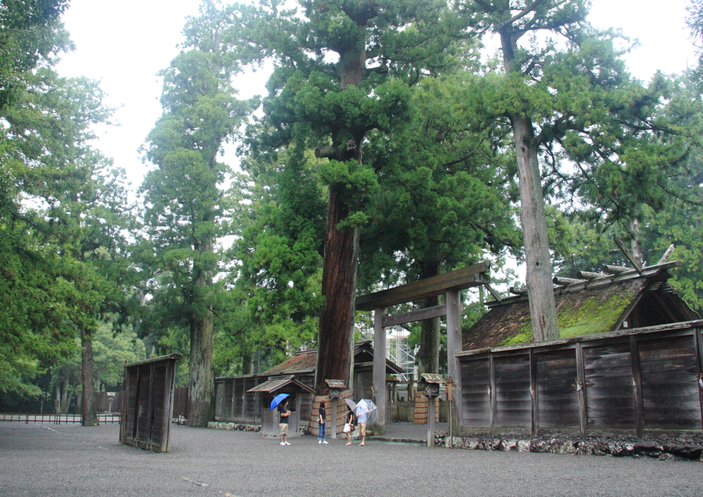 技術の継承