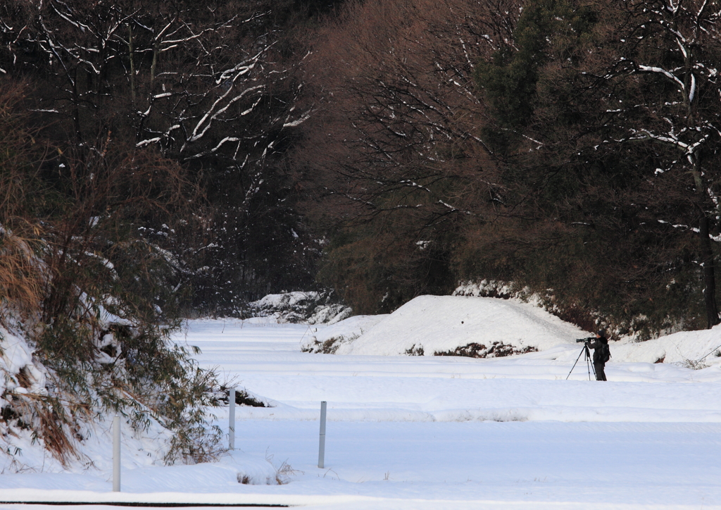 雪の中の撮影