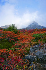 紅に染まり心踊る