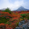 紅に染まり心踊る