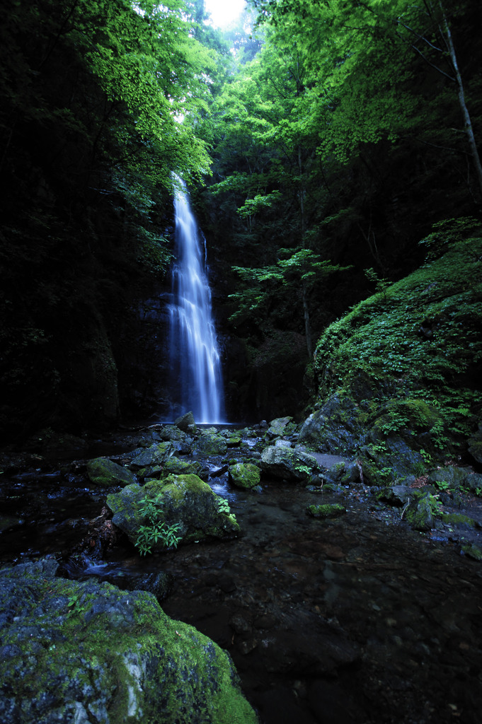 雨中　山奥の涼