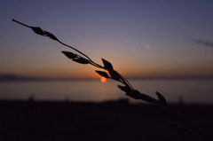 海に沈む夕日