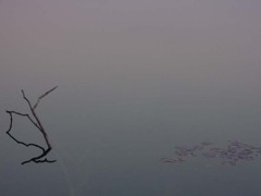 湖に映る風景