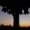 回廊の夕景