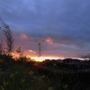 帰り道に見た夕日