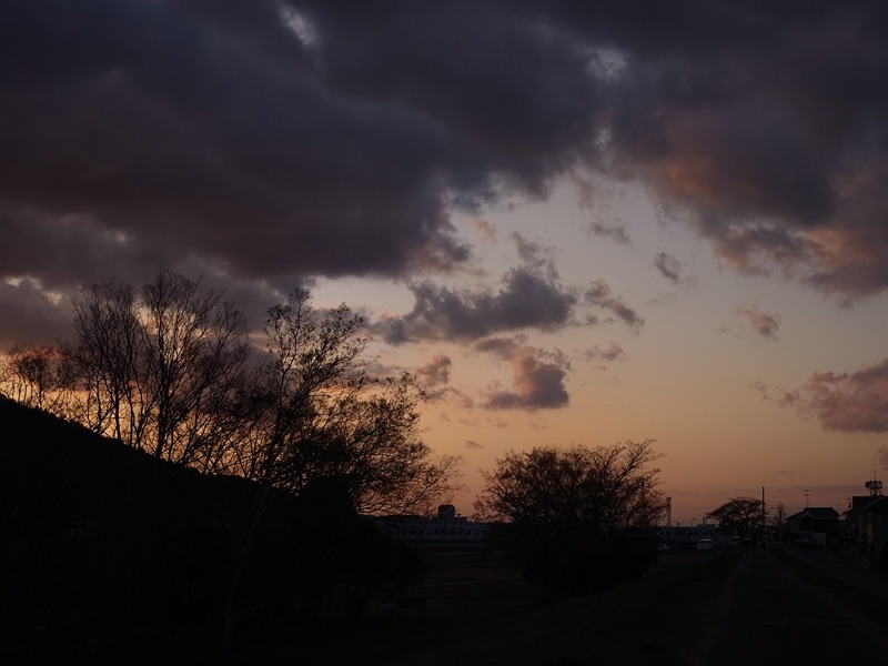 河川敷の夕景